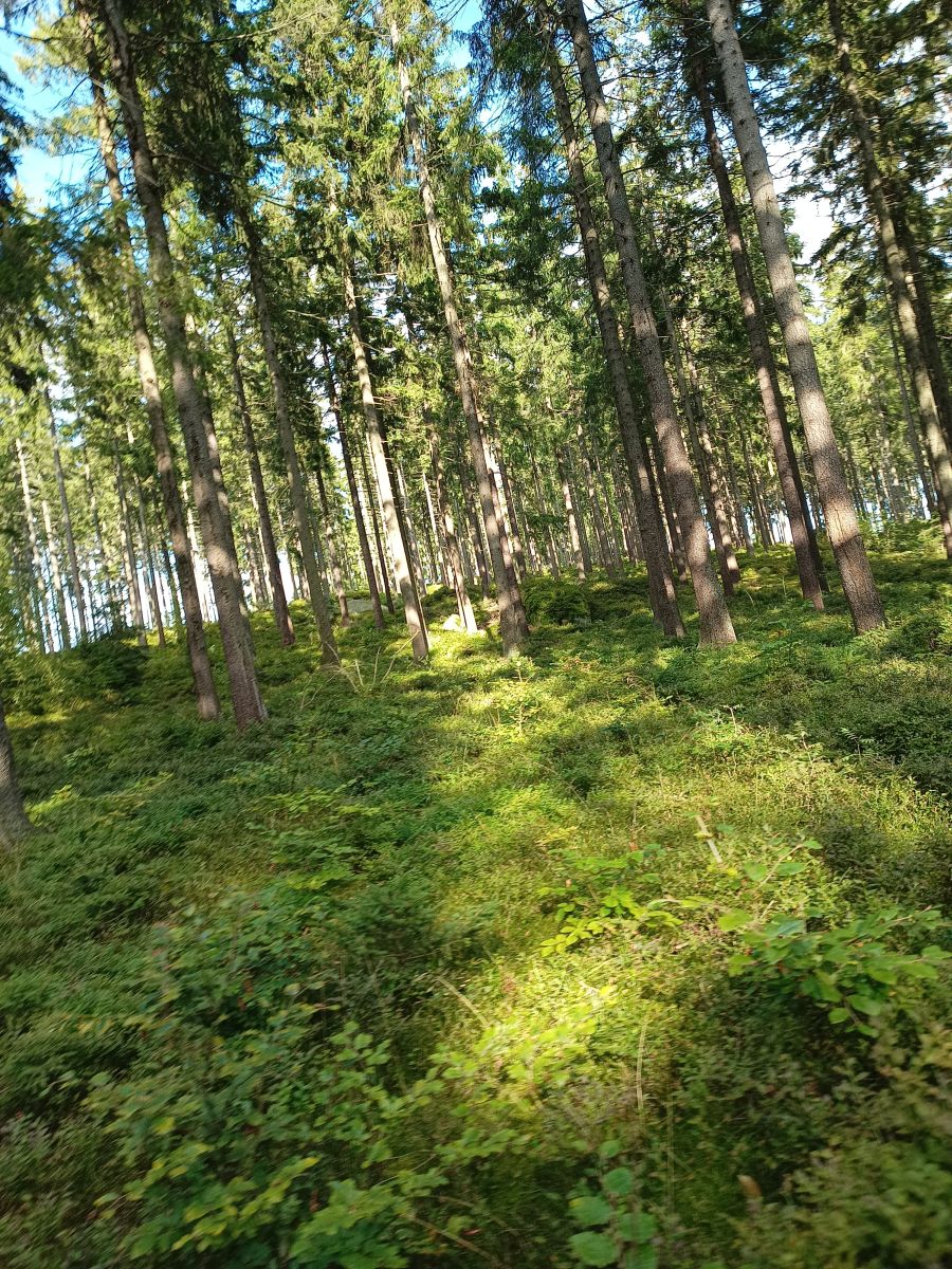 https://ekonom.kolobrzeg.pl/wp-content/uploads/gal/2023/09/01/szk_32.jpg