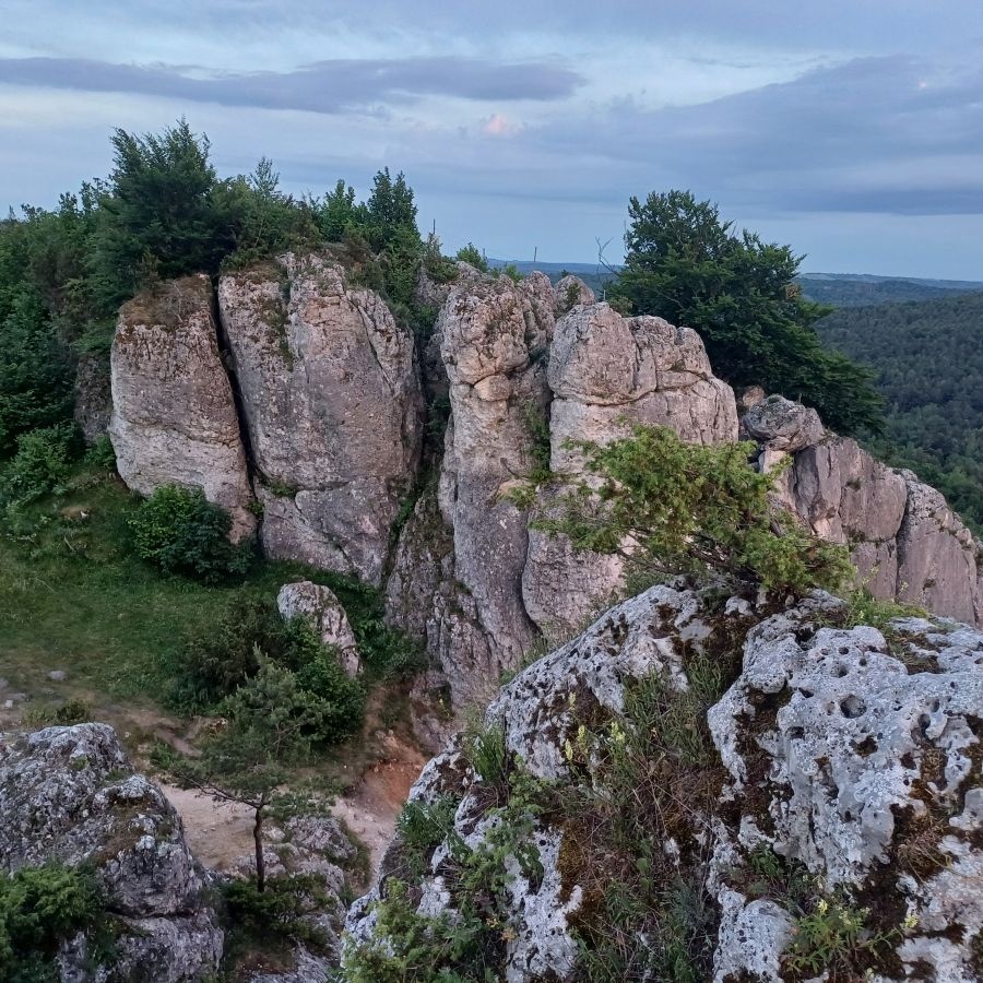 https://ekonom.kolobrzeg.pl/wp-content/uploads/gal/2024/06/03/zseh_24.jpg